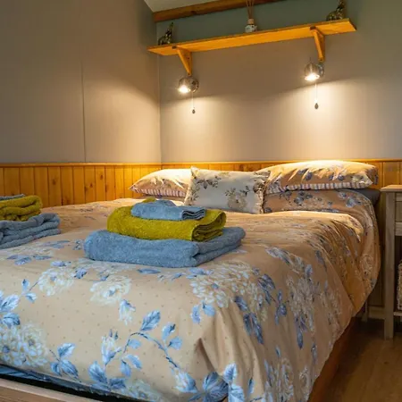 The Ash Shepod - Mill Dom wakacyjny